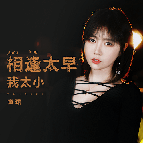 Xiang Feng Tai Zao Wo Tai Xiao 相逢太早我太小 I Am Too Young Lyrics 歌詞 With Pinyin By Tong Jun 童珺