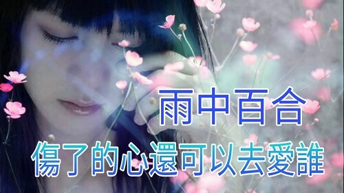 Shang Le De Xin Hai Ke Yi Qu Ai Shui 伤了的心还可以爱谁 Broken Heart Can Also Love Who Lyrics 歌詞 With Pinyin By Yu Zhong Bai He 雨中百合