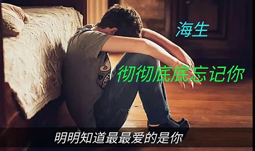 Che Che Di Di Wang Jie Ni 彻彻底底忘记你 Completely Forget You Lyrics 歌詞 With Pinyin By Hai Sheng 海生 Allan
