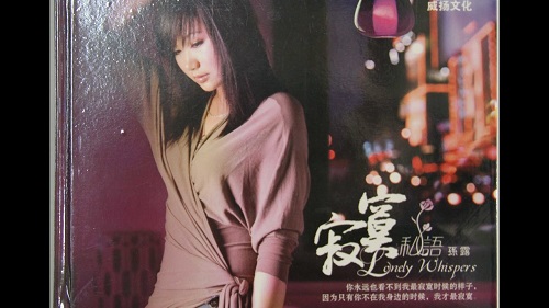 Wu Qing De Huai Nan Ren 无情的坏男人 Heartless Bad Man Lyrics 歌詞 With Pinyin By Sun Lu 孙露