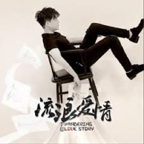 Liu Lang Ai Qing 流浪爱情 The Stray Love Lyrics 歌詞 With Pinyin By Li Chao 李超