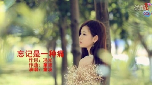 Wang Ji Shi Zhong Tong 忘记是一种痛 Forgetting Is A Kind Of Pain Lyrics 歌詞 With Pinyin