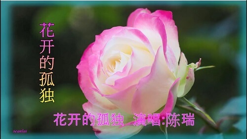 Hua Kai De Gu Du 花开的孤独 The Solitude Of Flowers Lyrics 歌詞 With Pinyin