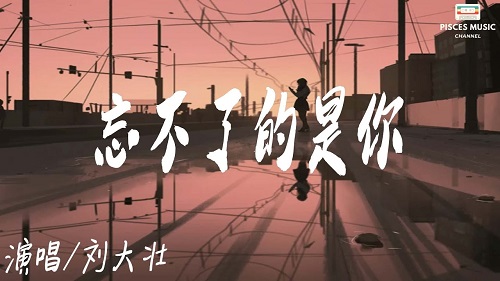 Wang Bu Liao De Shi Ni 忘不了的是你 I Can't Forget You Lyrics 歌詞 With Pinyin