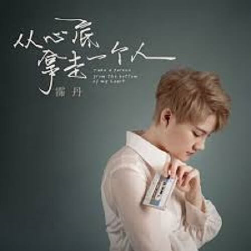 Cong Xin Di Na Zou Yi Ge Ren 从心底拿走一个人 Take A Person From The Bottom Of Your Heart Lyrics 歌詞 With Pinyin