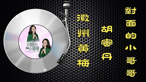 Dui Mian De Xiao Ge Ge 对面的小哥哥 The Little Brother Across The Way Lyrics 歌詞 With Pinyin