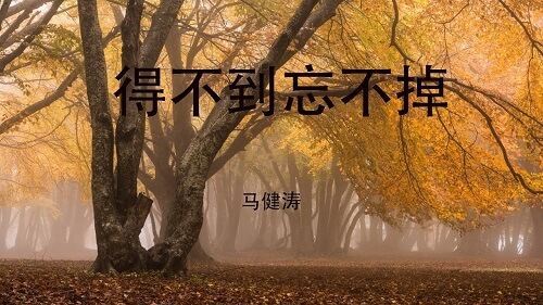 De Bu Dao Wang Bu Diao 得不到忘不掉 Never Forget Lyrics 歌詞 With Pinyin