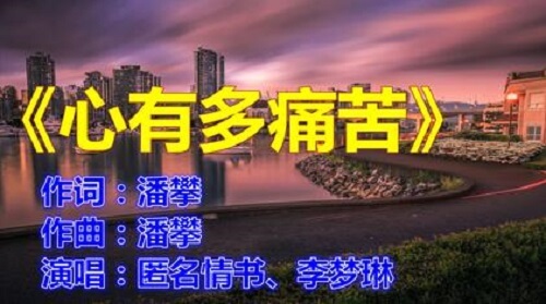 Xin You Duo Tong Ku 心有多痛苦 How Painful Is The Heart Lyrics 歌詞 With Pinyin