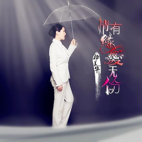 Qing You Yuan Ai Wu Fei 情有缘爱无份 Love Has No Destiny Lyrics 歌詞 With Pinyin