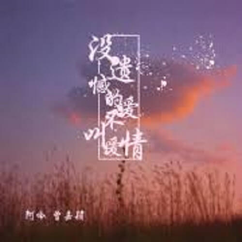 Mei Yi Han De Ai Bu Jiao Ai Qing 没遗憾的爱不叫爱情 Love Without Regret Is Not Love Lyrics 歌詞 With Pinyin