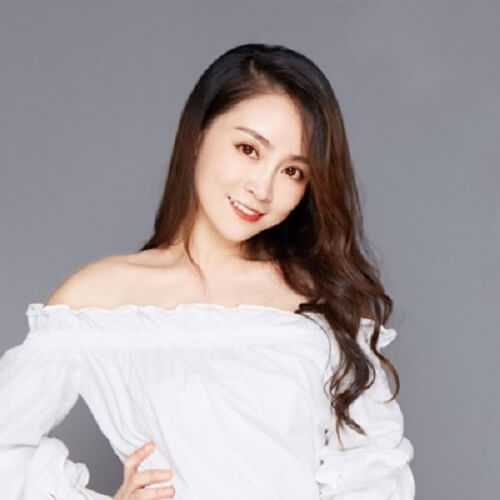 Chen Zhe Hai Wei Lao 趁着还未老 Before I Get Old Lyrics 歌詞 With Pinyin