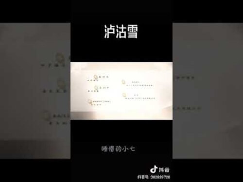 Lu Gu Xue 泸沽雪 LuGu Snow Lyrics 歌詞 With Pinyin