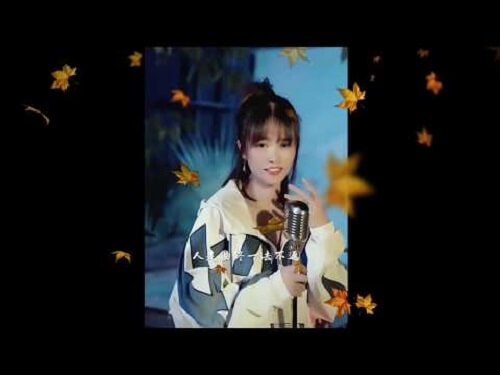 Ji Mo Xin Wan 寂寞心湾 Lonely Heart Bay Lyrics 歌詞 With Pinyin