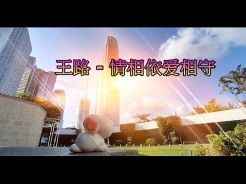 Qing Xiang Yi Ai Xiang Shou 情相依爱相守 Love Is Love Lyrics 歌詞 With Pinyin