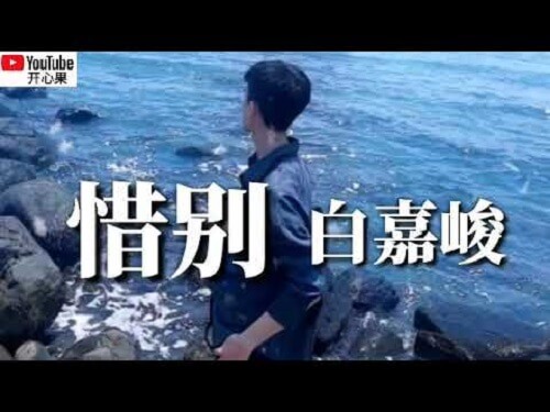 Xi Bie 惜别 Goodbye Lyrics 歌詞 With Pinyin