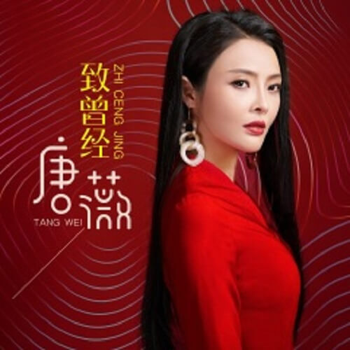 Zhi Ceng Jing 致曾经 To Once Lyrics 歌詞 With Pinyin