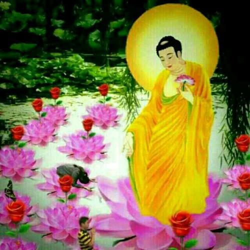 Jin Sheng Wo Zai Xiu Fo Yuan 今生我在修佛缘 I'm Practicing Buddhism Lyrics 歌詞 With Pinyin By Tan Ming 谭明