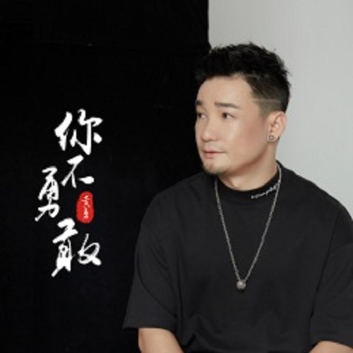 Ni Bu Yong Gan 你不勇敢 You Are Not Brave Lyrics 歌詞 With Pinyin By Huang Yong 黄勇