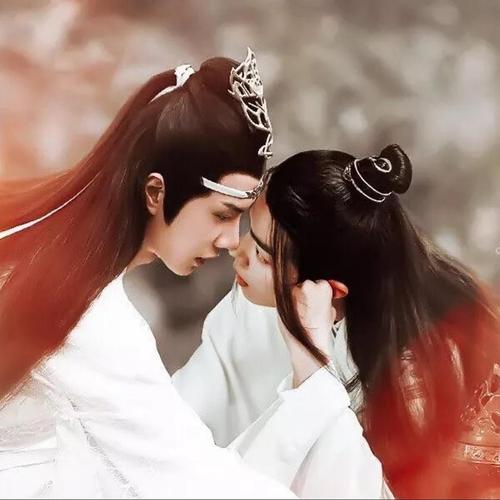 Gong Zi Ni Mo Guai 公子你莫怪 Don't Blame Me Lyrics 歌詞 With Pinyin By Hua Tong 花僮