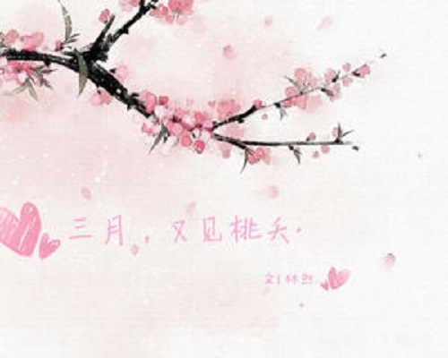 You Jian Luo Hua 又见落花 See Falling Flowers Again Lyrics 歌詞 With Pinyin By Sun Yi Qi 孙艺琪