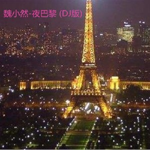 Ye Ba Ni 夜巴黎 Night Paris Lyrics 歌詞 With Pinyin By Wei Xiao Ran 魏小然