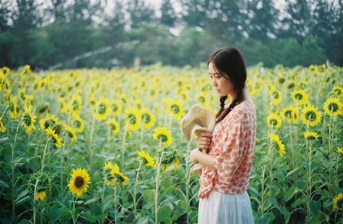 Tian Ya Lu Yuan 天涯路远 A Long Way To Go Lyrics 歌詞 With Pinyin By Peng Zheng 彭筝