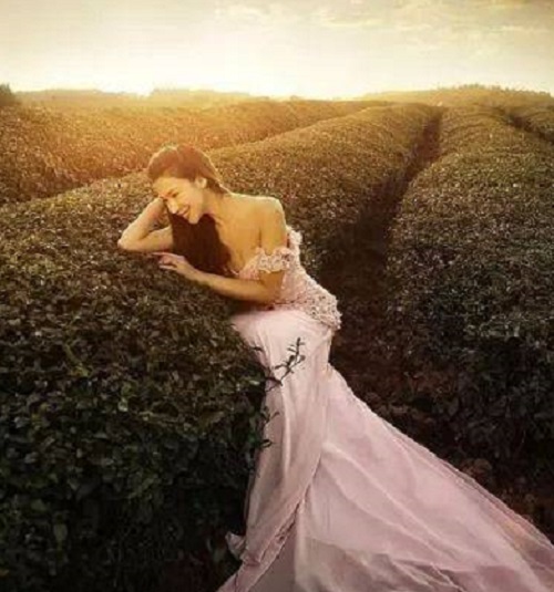 Hun Sha He Ni Dou Shi Meng 婚纱和你都是梦 Wedding Dress And You Are Dreams Lyrics 歌詞 With Pinyin By Yu Nian 于念