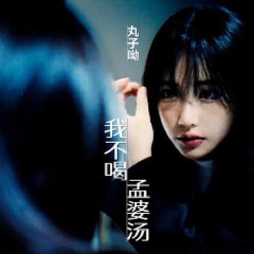 Wo Bu He Meng Po Tang 我不喝孟婆汤 I Don't Drin The Lethe Water Lyrics 歌詞 With Pinyin By Wan Zi You 丸子呦
