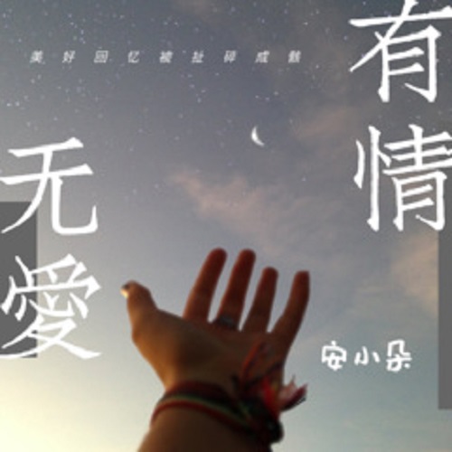 You Qing Wu Ai 有情无爱 Without Love Lyrics 歌詞 With Pinyin By An Xiao Duo 安小朵