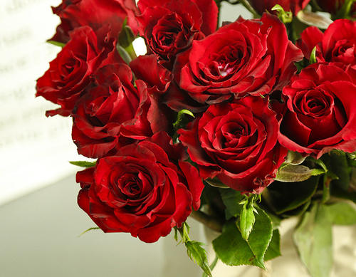 Deng Ai De Mei Gui 等爱的玫瑰 The Rose Waiting For Love Lyrics 歌詞 With Pinyin By Feng Huang Chuan Qi 凤凰传奇 Phoenix Legend