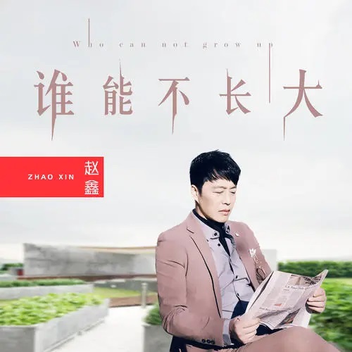 Shei Neng Bu Zhang Da 谁能不长大 Who Can Not Grow Up Lyrics 歌詞 With Pinyin By Zhao Xin 赵鑫