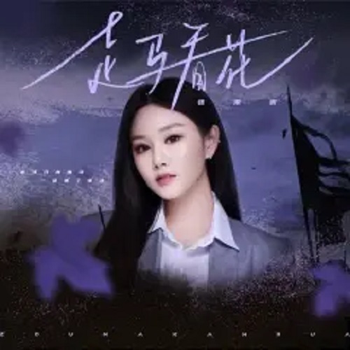 Zou Ma Kan Hua 走马看花 Gain A Superficial Understanding Through Cursory Observation Lyrics 歌詞 With Pinyin By Zhang He He 张禾禾