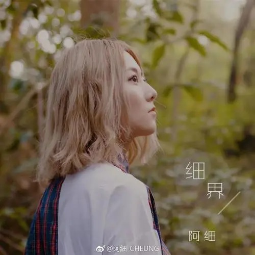 Lu Deng 路灯 Street Lamp Lyrics 歌詞 With Pinyin By A Xi 阿细
