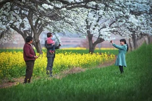 Ta Chun Xing 踏春行 Spring Outing Lyrics 歌詞 With Pinyin By Ren Yi Da Ren 人衣大人