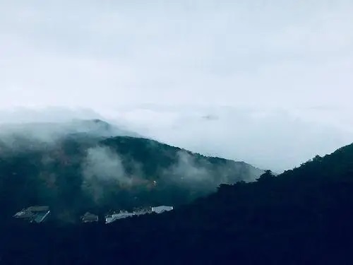 Yuan Shan Dai 远山黛 Distant Mountain Daisy Lyrics 歌詞 With Pinyin By Yin Xi Mian 尹昔眠、Xiao Tian Yin Yue She 小田音乐社