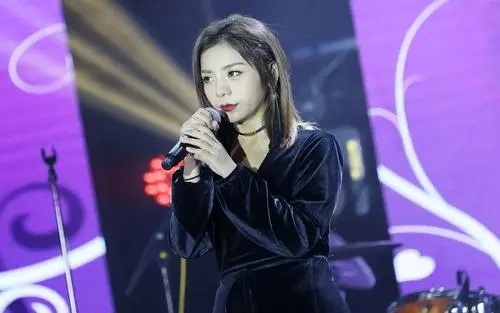 Zao Meng Ren 造梦人 Dreamer Lyrics 歌詞 With Pinyin By Jin Wen Qi 金玟岐 Jin Wenqi