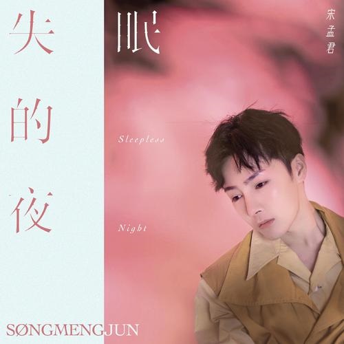 Shi Mian De Ye 失眠的夜 Sleepless Night Lyrics 歌詞 With Pinyin By Song Meng Jun 宋孟君