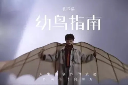 You Niao Zhi Nan 幼鸟指南 Chick Guide Lyrics 歌詞 With Pinyin By Mao Bu Yi 毛不易 Mao Buyi