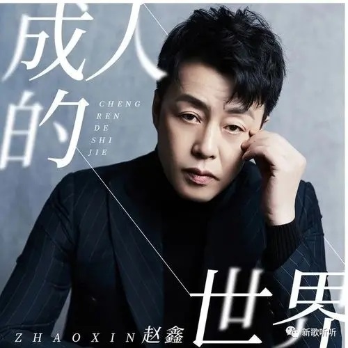 Cheng Ren De Shi Jie 成人的世界 Adult's World Lyrics 歌詞 With Pinyin By Zhao Xin 赵鑫