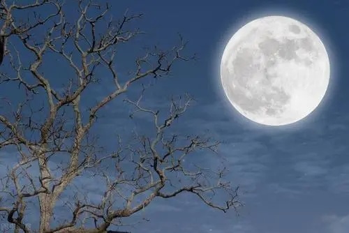 Ming Yue Wu You 明月无忧 Bright Moon Carefree Lyrics 歌詞 With Pinyin By Cha Li Li Li Zi 茶理理理子