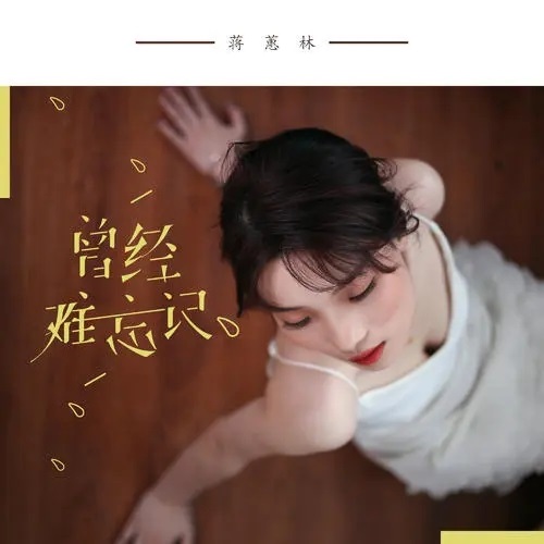 Ceng Jing Nan Wang Ji 曾经难忘记 Once Hard To Forget Lyrics 歌詞 With Pinyin By Jiang Hui Lin 蒋蕙林