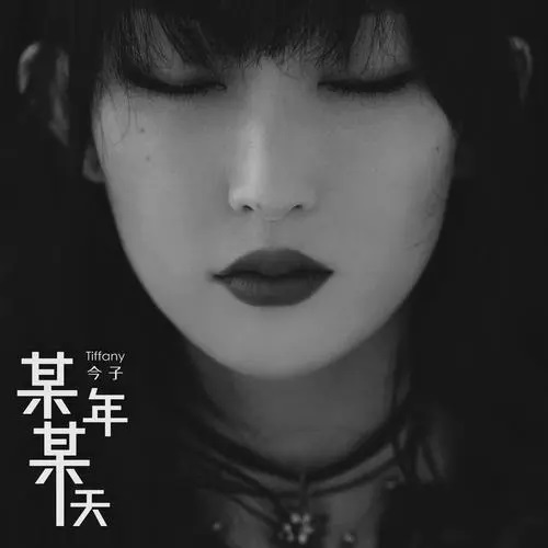 Mou Nian Mou Tian 某年某天 One Year One Day Lyrics 歌詞 With Pinyin By Cheng Jin 程今