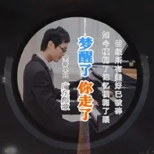 Meng Xing Le Ni Zou Le 梦醒了你走了 I Wake Up And You're Gone Lyrics 歌詞 With Pinyin By Guang Dong Biao Ge 广东彪歌