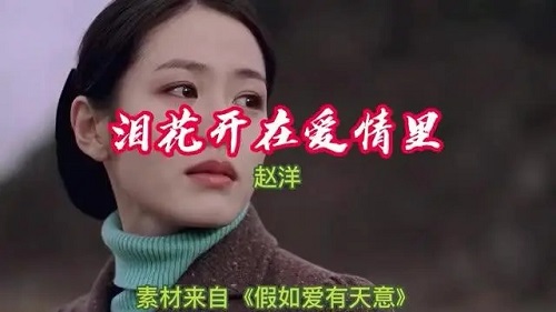 Lei Hua Kai Zai Ai Qing Li 泪花开在爱情里 Tears Bloom In Love Lyrics 歌詞 With Pinyin By Zhao Yang 赵洋