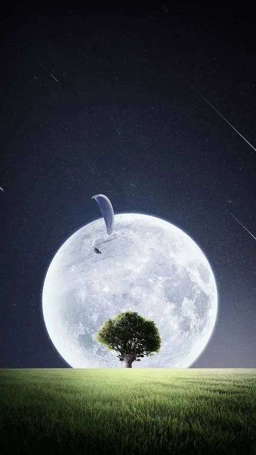 Liu Lang De Yue Guang 流浪的月光 Wandering Moonlight Lyrics 歌詞 With Pinyin By Xiao Qian 小倩