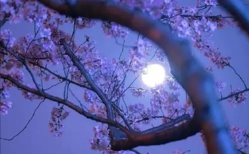 Qing Feng Ba Yue Rou 清风把月揉 The BreezeRubs The Moon Lyrics 歌詞 With Pinyin By Chen Xiao Man 陈小满