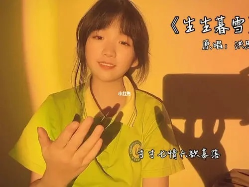 Sheng Sheng Mu Xue 生生暮雪 Snow At Dusk Lyrics 歌詞 With Pinyin By Hong Si Yu 洪思雨