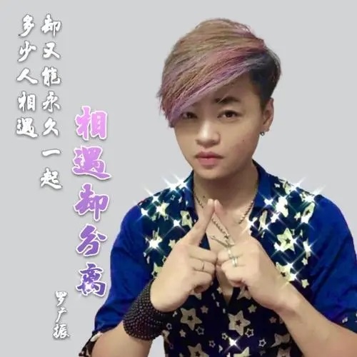 Xiang Yu Que Fen Li 相遇却分离 Meet But Separate Lyrics 歌詞 With Pinyin By Luo Guang Zhen 罗广振