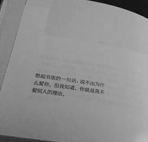 Jiang Bu Chu Li You 讲不出理由 Can't Give A Reason Lyrics 歌詞 With Pinyin By Da Ben 大笨