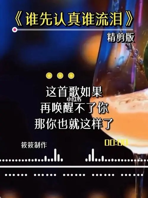 Shei Xian Ren Zhen Shei Liu Lei 谁先认真谁流泪 Who Takes Seriously First Will Cry Lyrics 歌詞 With Pinyin By Zhao Yang 赵洋
